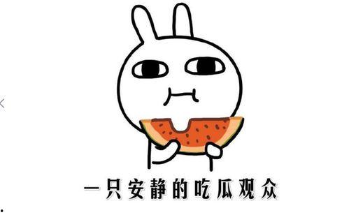 在线吃瓜免费 第3张 在线吃瓜免费 第3张