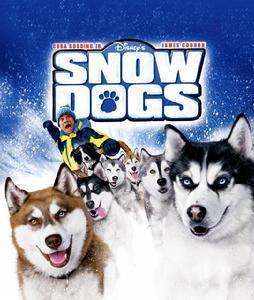 冰狗任务在线观看,在线观看，揭秘极地冒险之旅  第1张